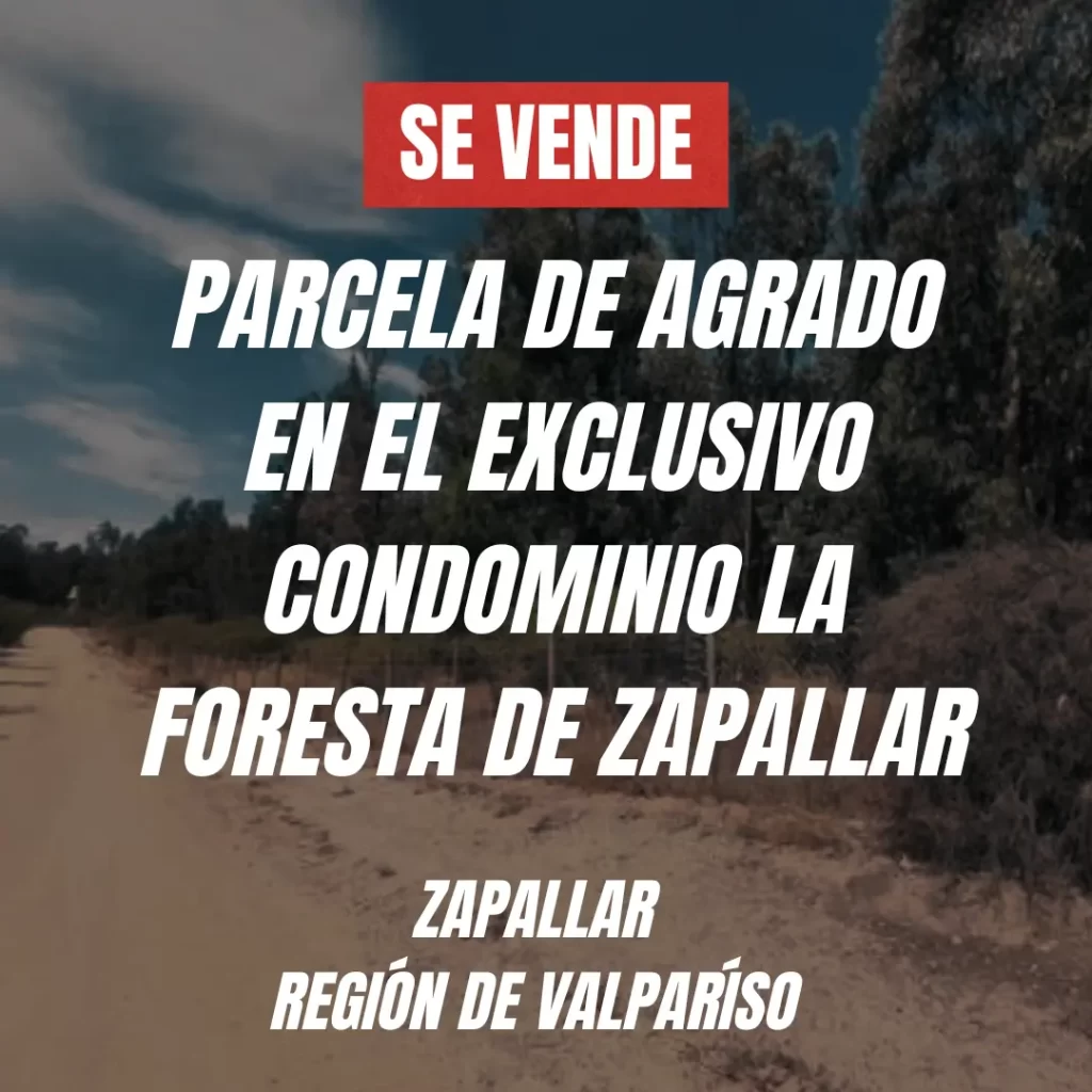 Se vende parcela de agrado en el exclusivo condominio La Foresta de Zapallar, ubicada a 20 min. de las costas de Maitencillo, Zapallar y Cachagua.